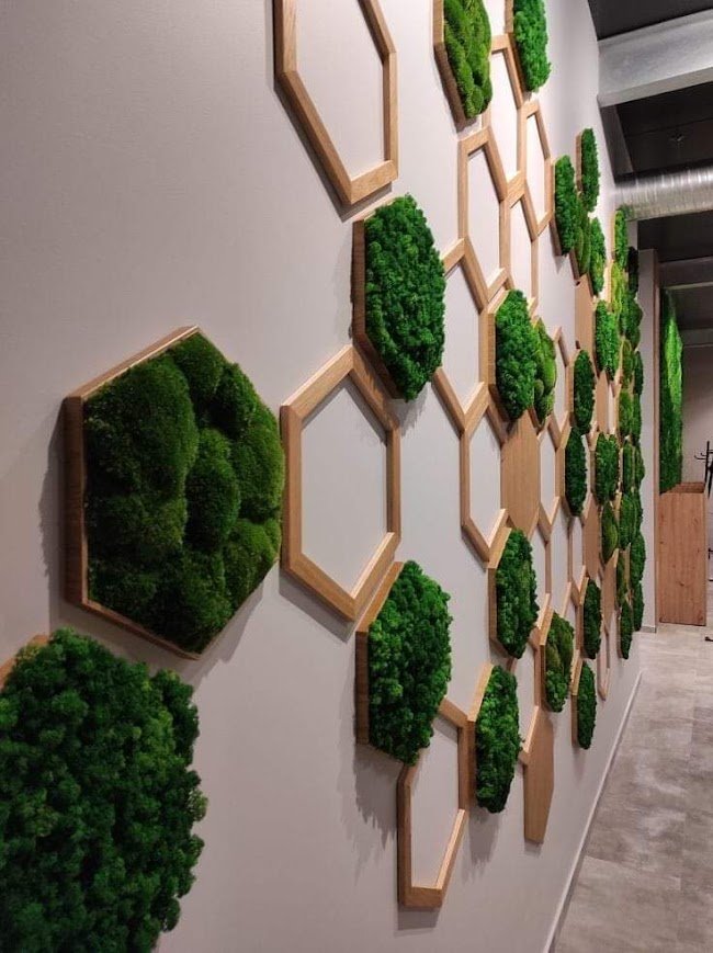 Panel decorativo de musgo estabilizado en hexágonos de madera en un proyecto de interiorismo en Sevilla